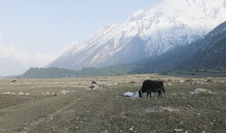 Trekking in Nepal for Beginners