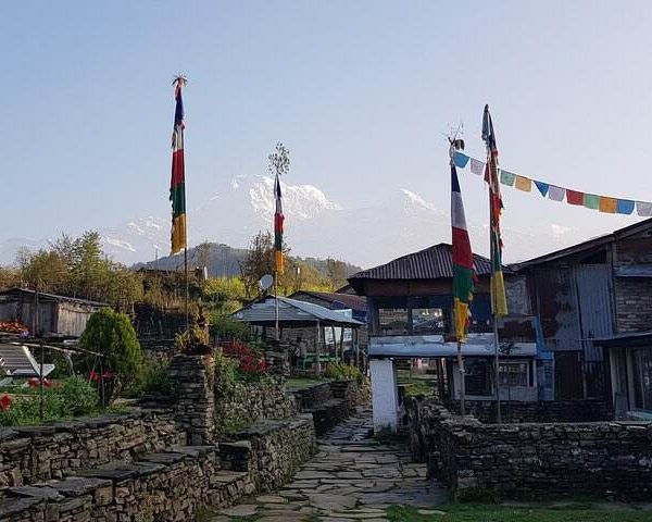 mardi himal trek