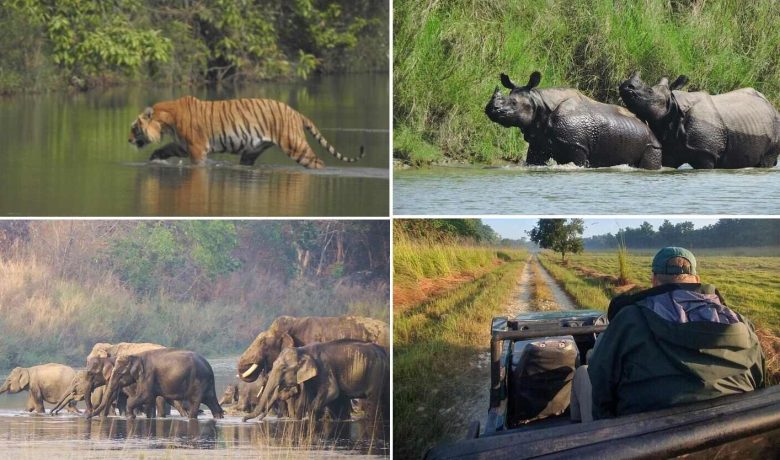 Bardia National Park Tour, Chitwan, Chitwan sauraha